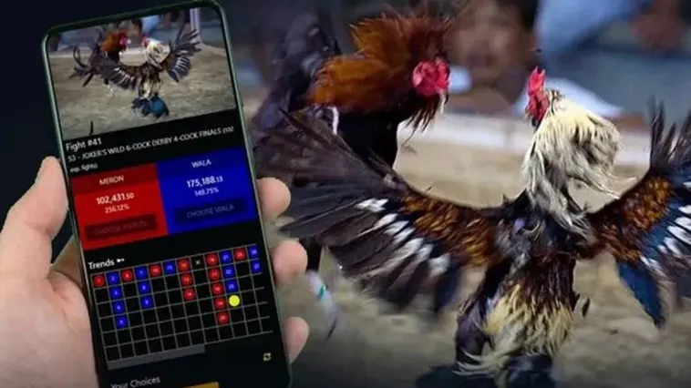 Đá Gà B52Club Trải Nghiệm Livestream Kịch Tính Tỷ Lệ Thưởng Hấp Dẫn​