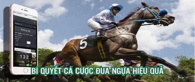 Tìm Hiểu Cá Cược Đua Ngựa B52Club Chi Tiết Cho Người Mới Tham Gia​