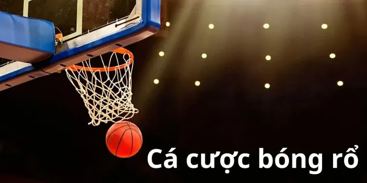 Tìm Hiểu Cá Cược Bóng Rổ B52Club Với Kèo Đa Dạng Dễ Tiếp Cận​